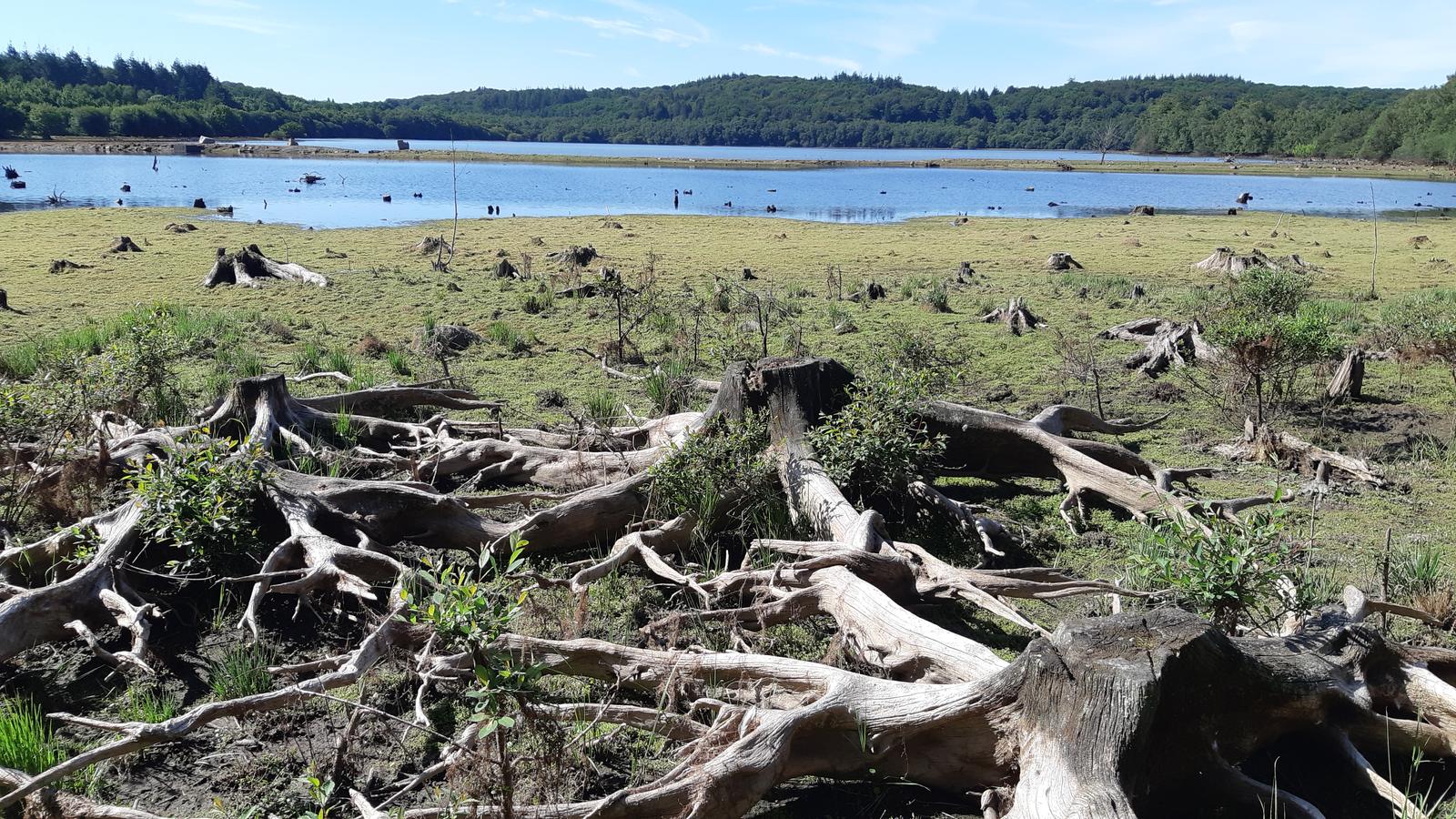 Le lac du Gast presqu'à sec…
